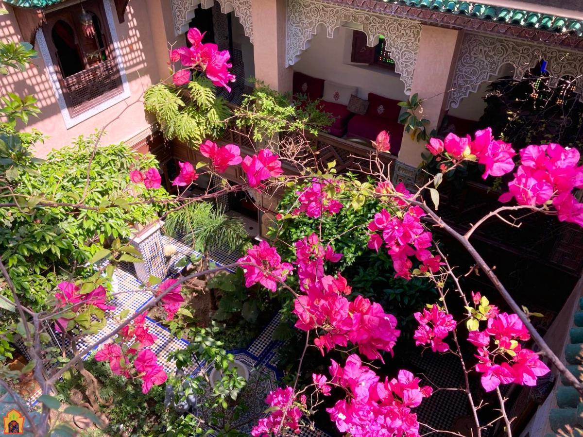 פס Riad Toyour- Riad Of Birds מראה חיצוני תמונה